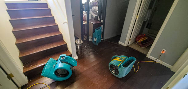 Local water damage restoration in Ripley, MS