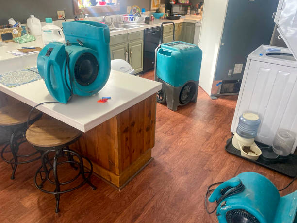 Best Water damage restoration experts  in Ripley, MS