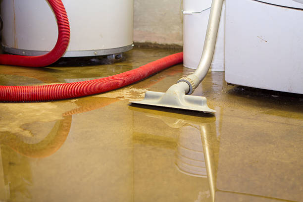 Local water damage restoration in Ripley, MS